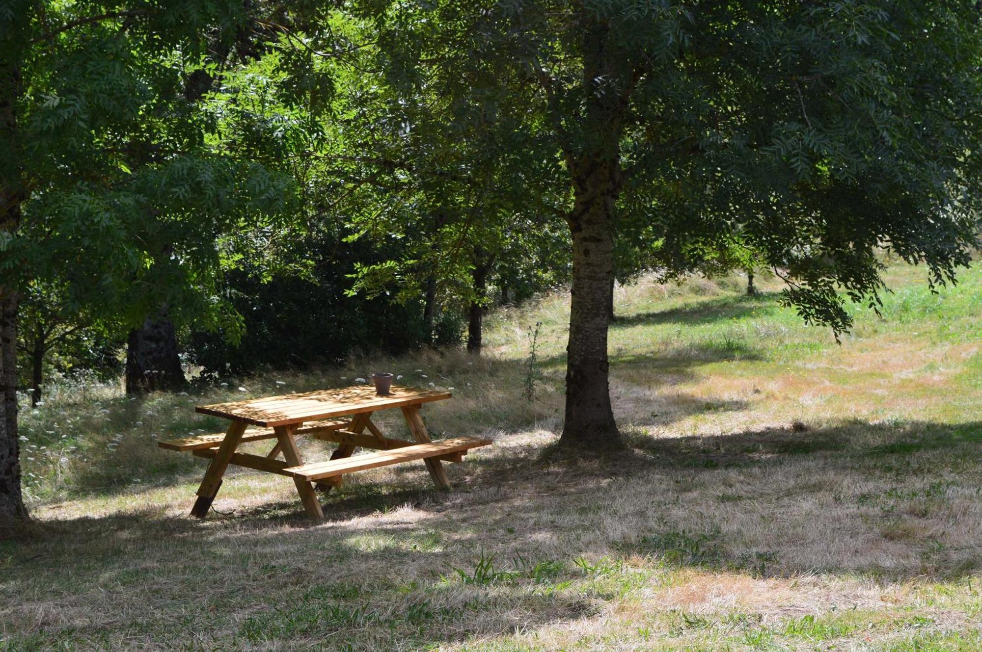 Domaine Des Terres Du Milieu / Gite De Cul De Sac Chateldon Extérieur photo